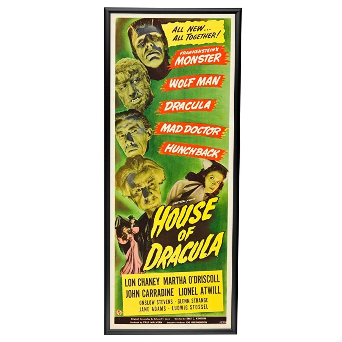 SnapeZo Black Snap Frame Poster Size 14x36 - 1 inch Profile