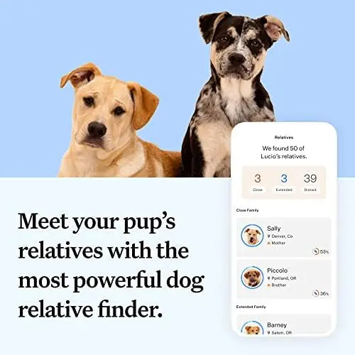 Wisdom Panel Essential Dog DNA Kit: Accurate Test for 365+ Breeds, 30 Health Conditions, 50+ Traits, Ancestry – 1 Pack
