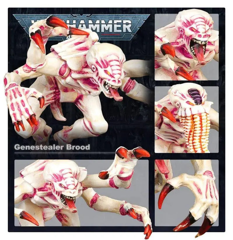 Warhammer 40K Tyranids Battleforce – Brood Swarm Starter Set for Competitive Miniature Wargaming