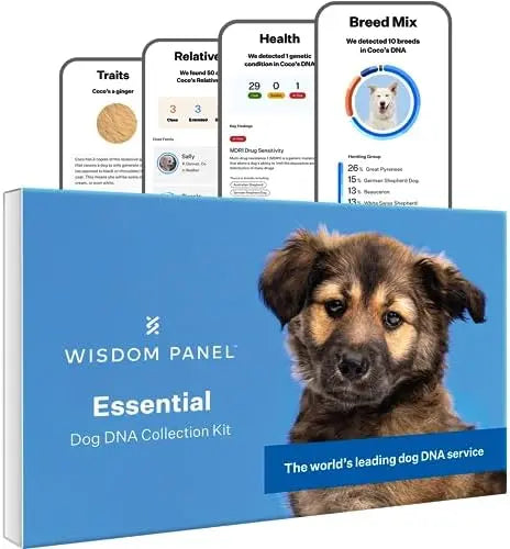 Wisdom Panel Essential Dog DNA Kit: Accurate Test for 365+ Breeds, 30 Health Conditions, 50+ Traits, Ancestry – 1 Pack