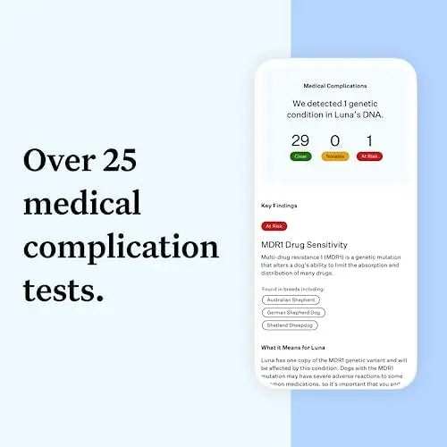Wisdom Panel Essential Dog DNA Kit: Accurate Test for 365+ Breeds, 30 Health Conditions, 50+ Traits, Ancestry – 1 Pack