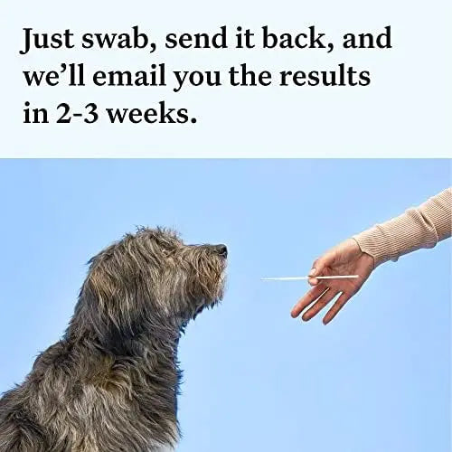 Wisdom Panel Essential Dog DNA Kit: Accurate Test for 365+ Breeds, 30 Health Conditions, 50+ Traits, Ancestry – 1 Pack