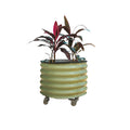 Self-Watering Rolling Planter, Olive Green / Single Pack