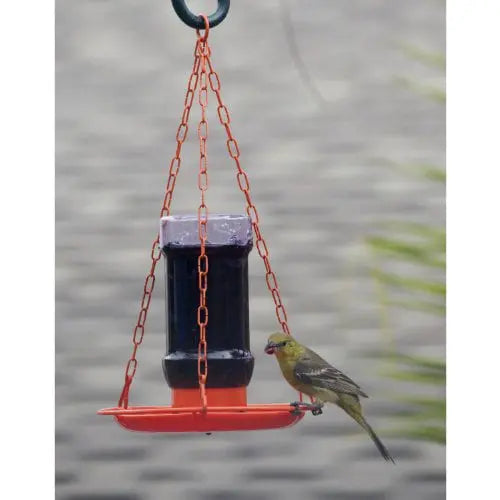 Perky-Pet Oriole Jelly Wild Bird Feeder – 32 oz Capacity