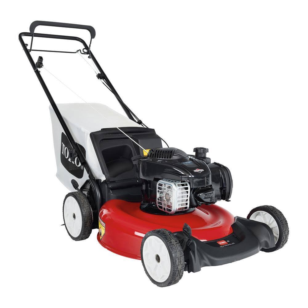 Toro Recycler 21 in. Briggs and Stratton Low Wheel RWD Gas Self Propelled Lawn Mower