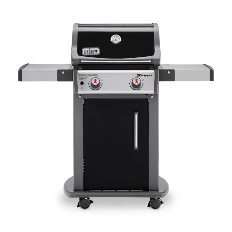 Weber Spirit E-210 Liquid Propane Grill – 2-Burner Black Model