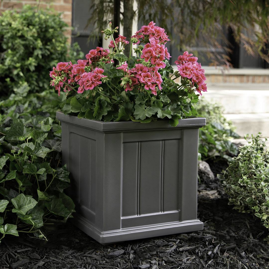 Selevae Resin Planter Box with Water Reservoir Charlton Home Size: 14" H x 14" W x 14" D, Color: Graphite Gray