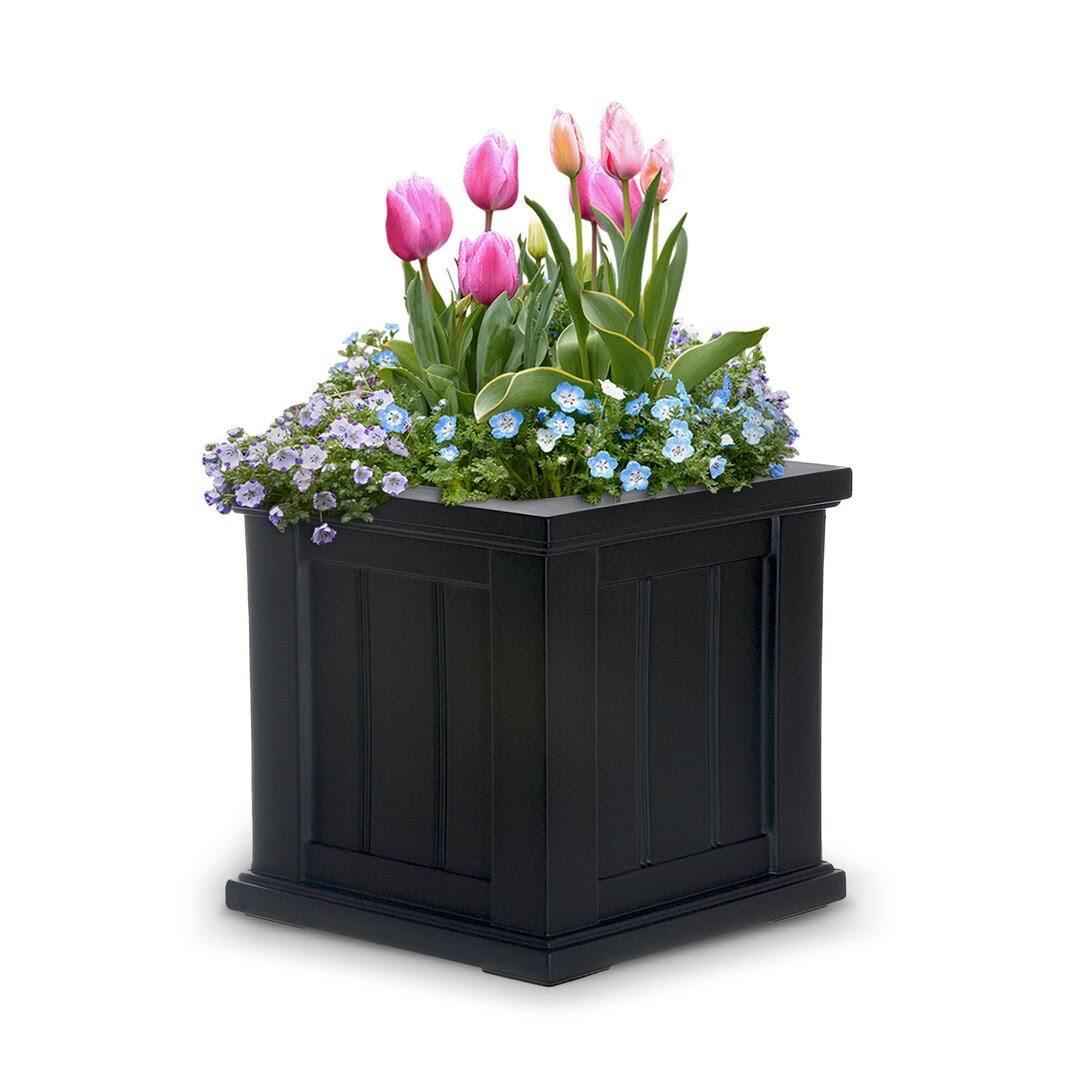 Selevae Resin Planter Box with Water Reservoir Charlton Home Color: Black, Size: 14" H x 14" W x 14" D