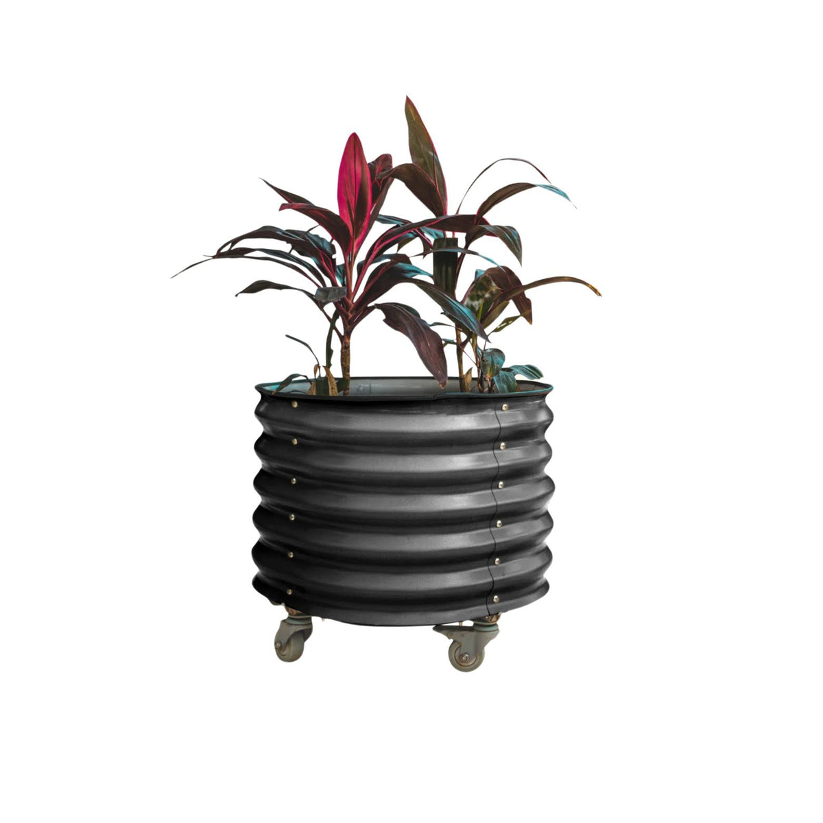 Self-Watering Rolling Planter, Modern Gray / Single Pack