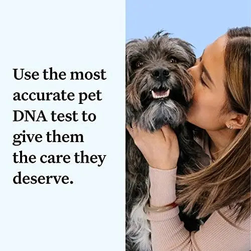 Wisdom Panel Essential Dog DNA Kit: Accurate Test for 365+ Breeds, 30 Health Conditions, 50+ Traits, Ancestry – 1 Pack