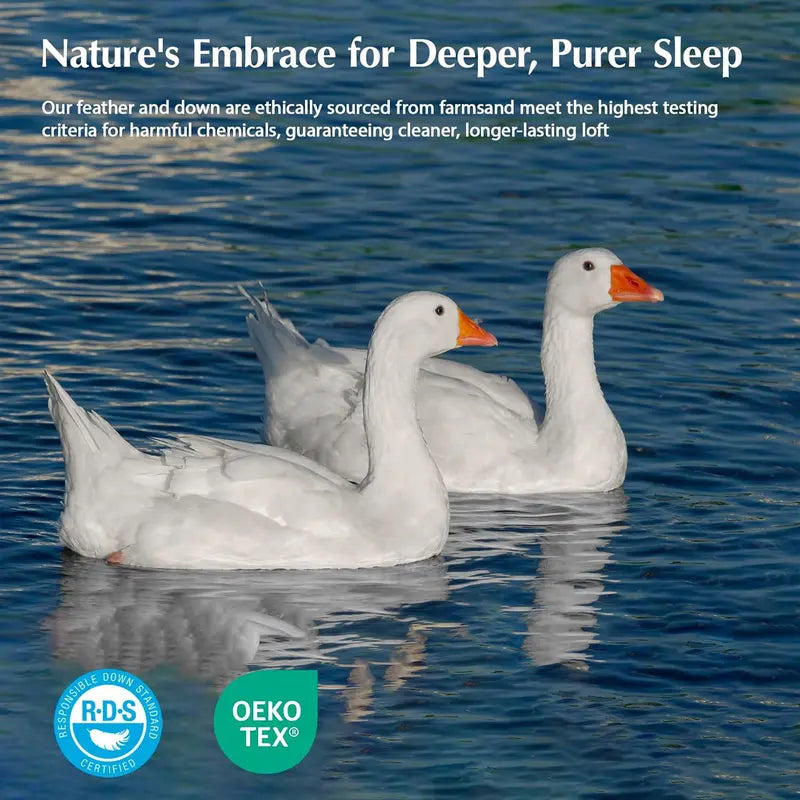 Pacific Coast Goose Feather Down Comforter – Queen Size | 100% Cotton Hypoallergenic Duvet Insert with 8 Corner & Center Loops, All-Season Luxury Hotel-Grade Softness
