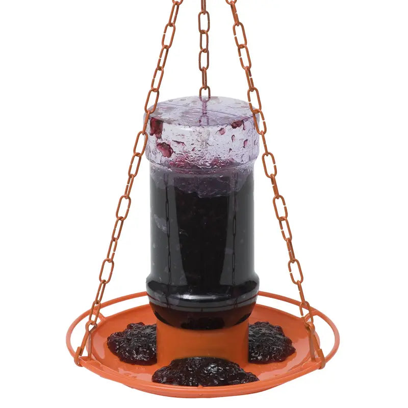 Perky-Pet Oriole Jelly Wild Bird Feeder – 32 oz Capacity