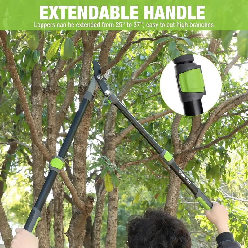 WORKPRO Extendable Anvil Lopper – 25″ to 37″ Adjustable Garden Trimmer