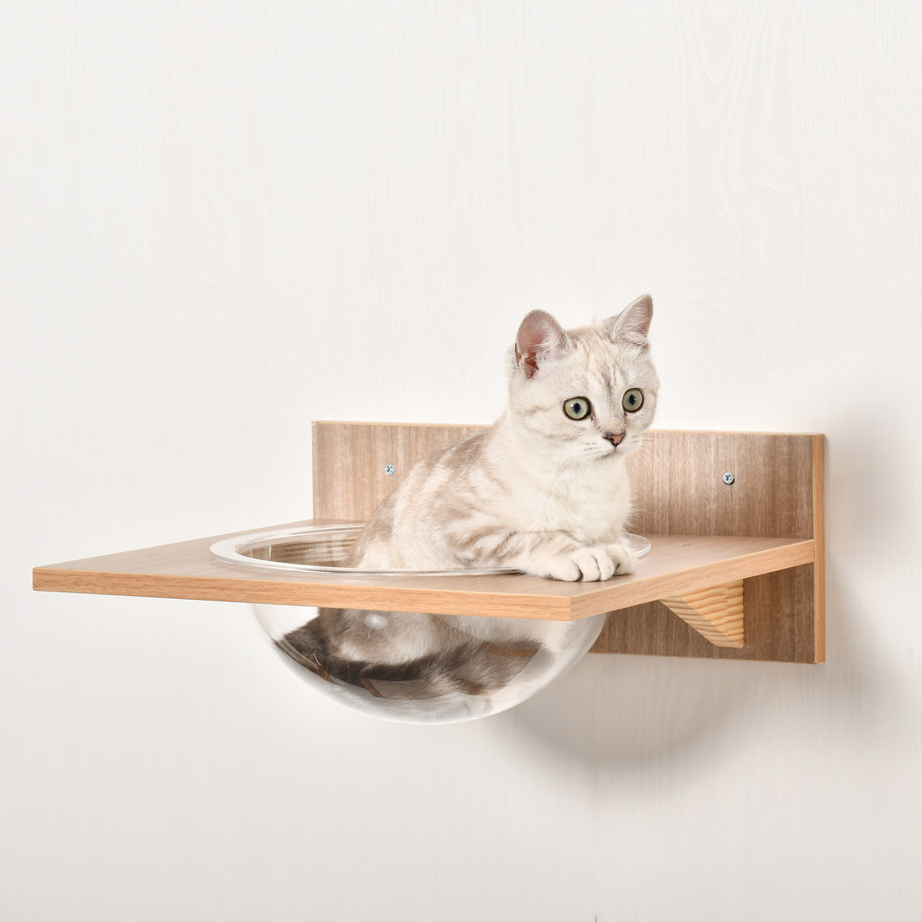 PawHut 4tlg. Kletterwand für Katzen Katzenkletterwand mit Kratzbaum Katzentreppe Katzenmöbel Hängematte Hellbraun Sisal Acryl Kiefer