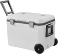 Immersion Circulating Cooler for Laboratory or Industrial Cooling Applications